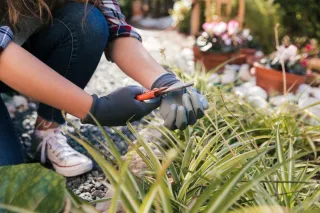 Choosing the Right Landscaping Contractor in Utah County: What Every Homeowner Should Know