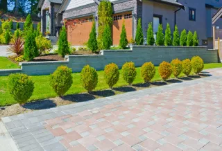 Best Native Plants for Low-Maintenance Landscaping in Utah County