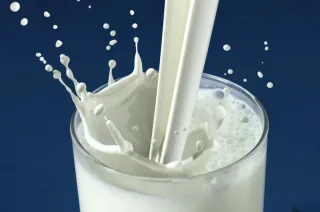 We Don't Need To Fear The Fat OR Lactose In Milk!