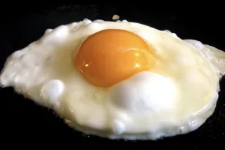 Eggs on Trial.... Guilty or Innocent?