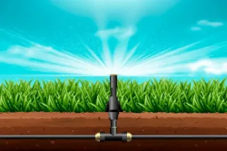 Choose the Right Irrigation System for Your Lawn & Garden