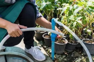 Types of Irrigation Systems: Drip, Sprinkler & More