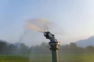Common Signs Your Sprinkler System Needs Repair Before Summer
