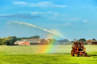 Why Fairfield County Businesses Should Invest in Commercial Irrigation Maintenance