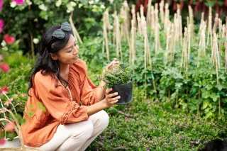 How Drip Irrigation Improves Garden Health in Connecticut’s Climate
