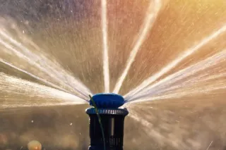 Sustainable Irrigation Practices for Connecticut Homeowners
