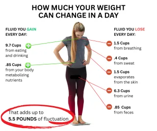 Why is the scale up (for NO REASON!)