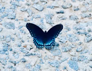 5 things I've learned about my thyroid since having hypothyroidism