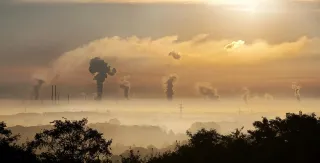 Optimizing Thyroid Function by Minimizing Exposure to Environmental Toxins
