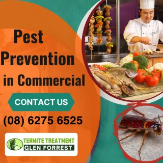 Commercial Pest Prevention