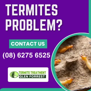 Professional Termite Treatment Process