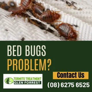 Exterminating Bed Bugs In Glen Forrest