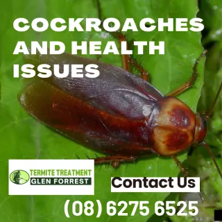 Why are cockroaches hazardous to health