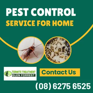 Welcoming Pests Into Your Home