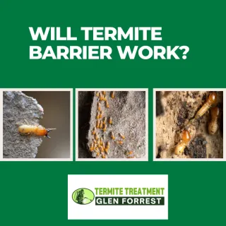 How Long Does A Termite Barrier Last?