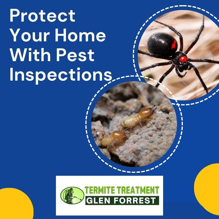 4 Reasons Your Home Needs Annual Pest Inspections