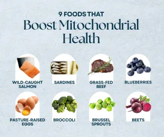 9 Foods to Boost Mitochondrial Health