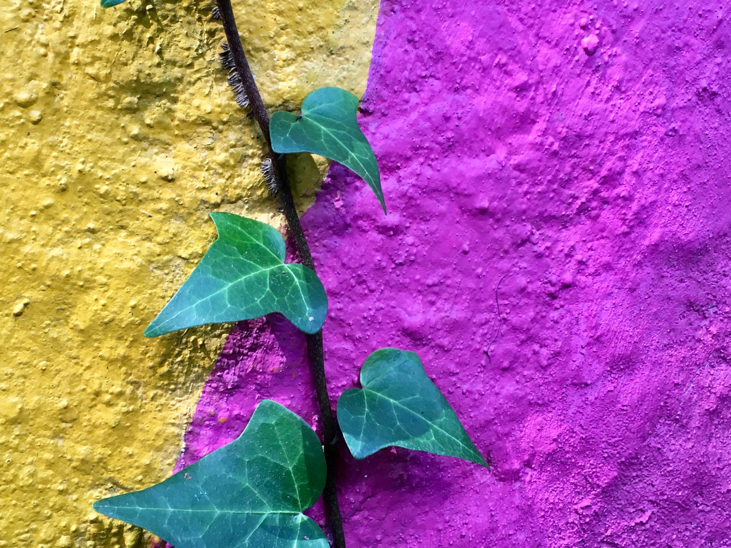 Four New Strategies For Building Your Resilience