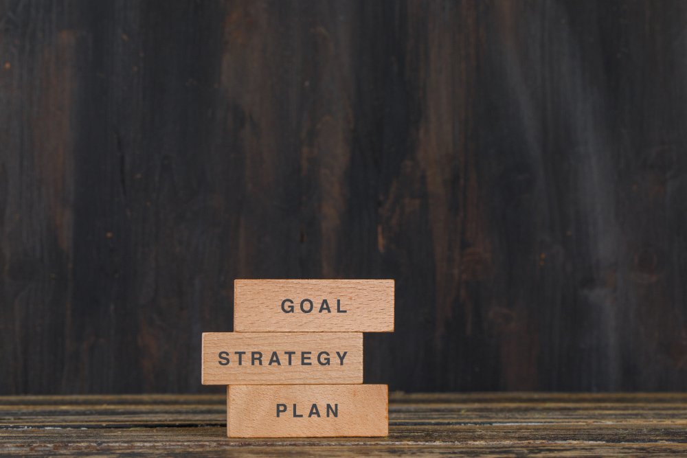 Cultural Alignment with Organizational Goals: Expert Insights