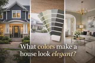 What Colors make a house look Elegant?