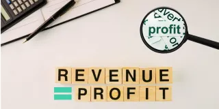 Revenue = Profit: The Blind Spot Holding Back 7-Figure CEOs 