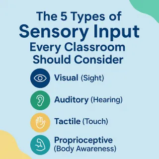 The 5 Types of Sensory Input Every Classroom Should Consider