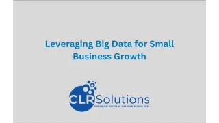 Leveraging Big Data for Small Business Growth: An Insightful Guide by CLR Solutions