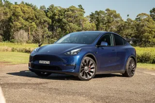 Tesla Model Y's Unexpected Setback: The Stinkbug Dilemma in Australia