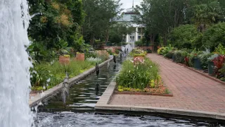 🌸 Explore the Blooming Beauty of Daniel Stowe Botanical Garden – Charlotte, NC