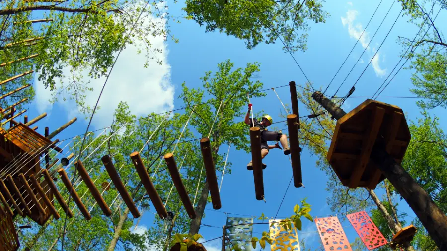 🧗‍♀️ Take Flight in Charlotte: The Ultimate Adventure at SkyZoo Aerial Park!