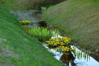 The Importance of SUDS in Construction Projects