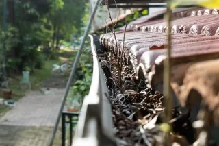 How Often Should You Clean Your Gutters?