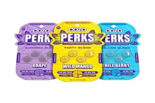 DOZO Perks Explained: Benefits, Flavors & Where to Buy