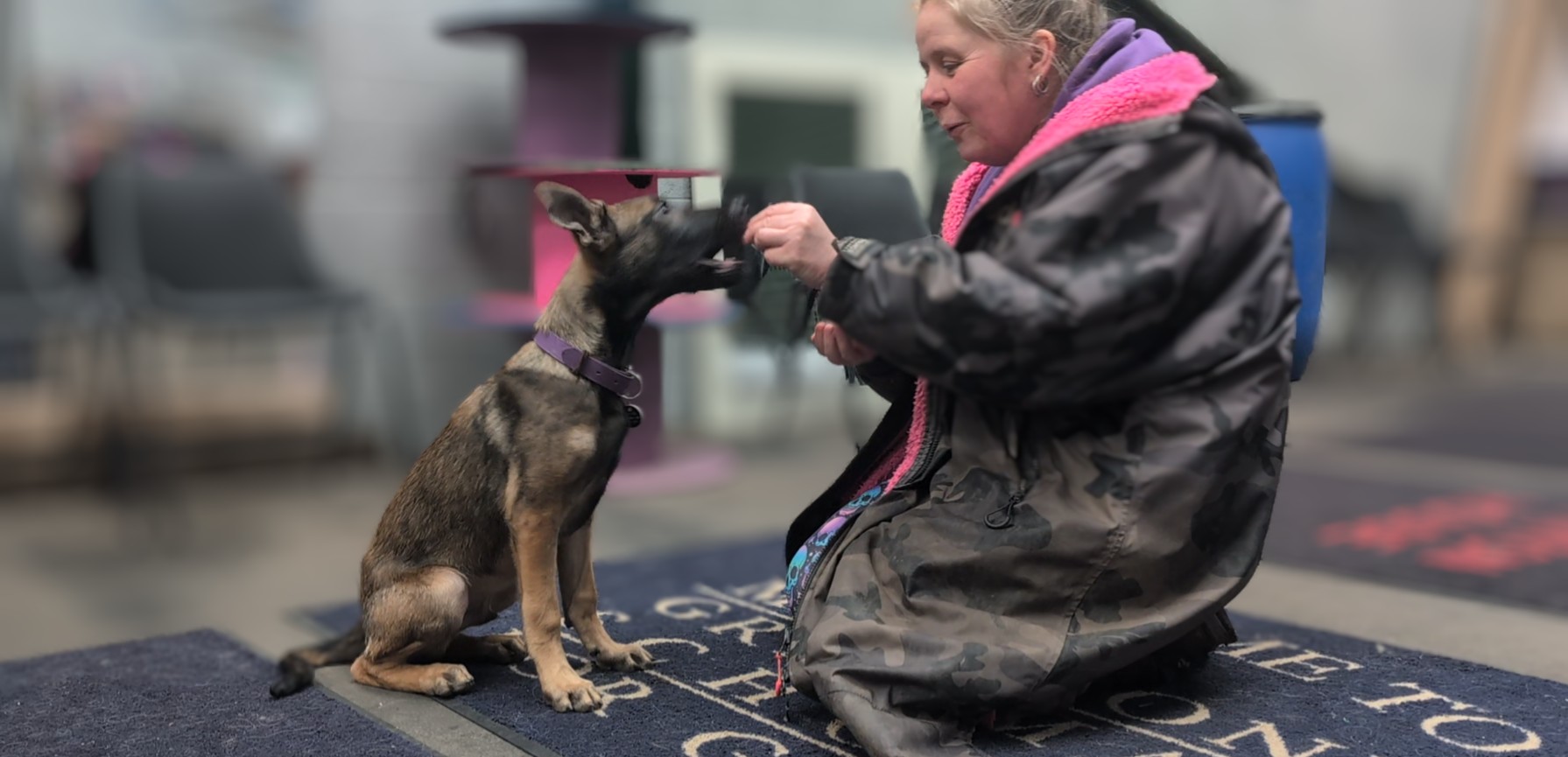 Clicker Training to help with unwanted behaviours