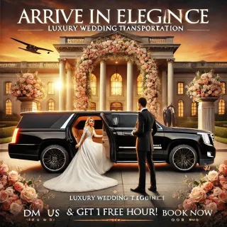 The Ultimate Guide to Luxury Wedding Transportation in Illinois