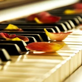 Piano for Stress Relief: Music as a Therapeutic Tool at Notable Music Academy Calgary