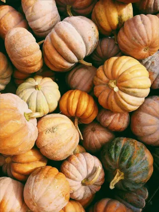 What fruit and vegetables are in season now? (Bonus Autumn recipe!)