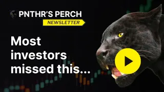 The PNTHR’s Perch — Week of Nov 10-14, 2025: Stocks & Strategy
