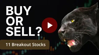 The PNTHR’s Perch — Week of Nov 24-28, 2025: Stocks & Strategy