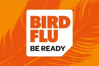 Be ready for bird flu