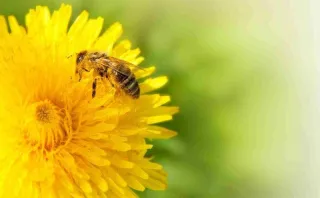 Farming Diary for November