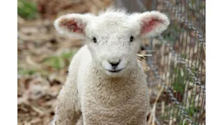 Farming Diary for August