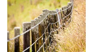 Farming Diary for May