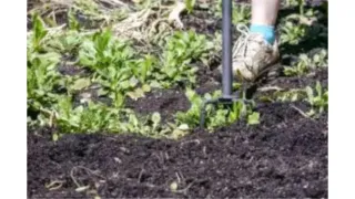 Summer is a’comin’