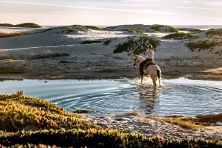 Riding High: Exploring Horseback Riding Adventures in Canada