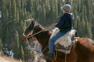 Saddle Up for Success: How Pathfinder365 Supports Local Horseback Riding Businesses