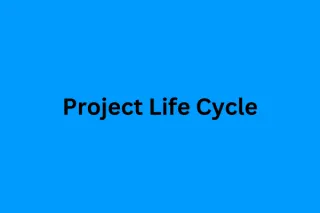 Project Life Cycle