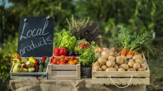 🌾 Why Hobby Farms Are Gaining Popularity (And Should You Start One?)