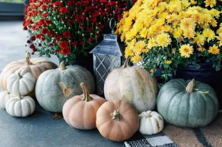 Fall in Love with Your Next Home: Why September is Prime Time for Real Estate Moves