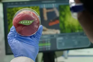 The Future of Food: Exploring Lab-Grown Meat Alternatives
